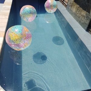 Meet your Posher, Terry